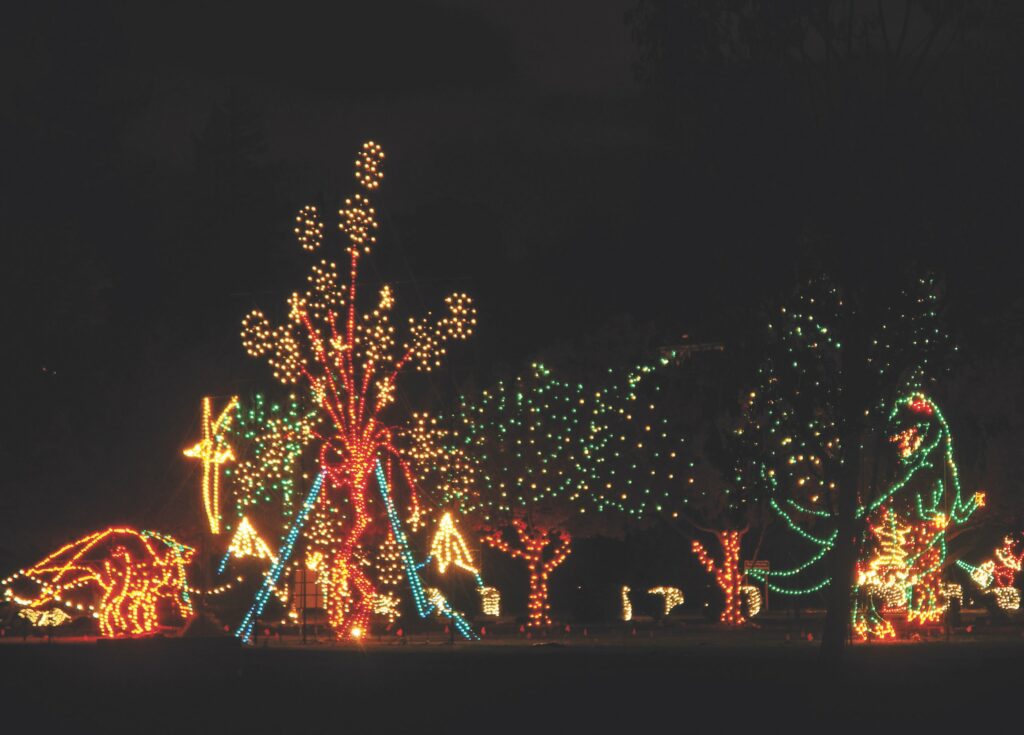 Ready for walkthrough "Fantasy of Lights" at Vasona Lake? / Loma