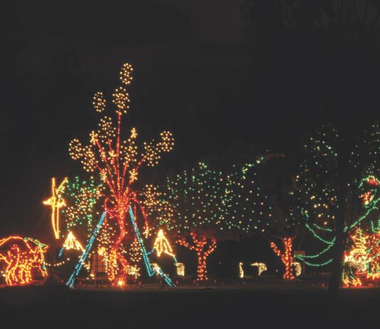 Fantasy of Lights