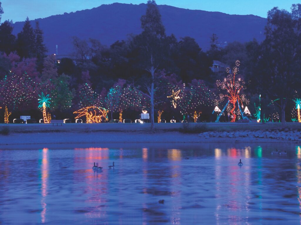 fantasy of lights at vasona lake