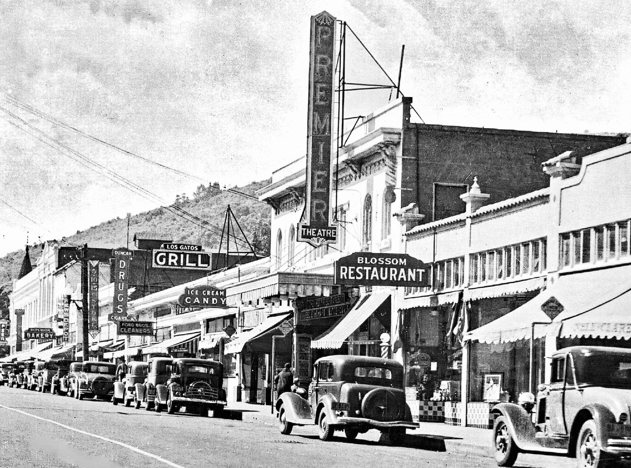 DISCOVER LOST GATOS It's showtime! Los Gatan Los Gatos, California