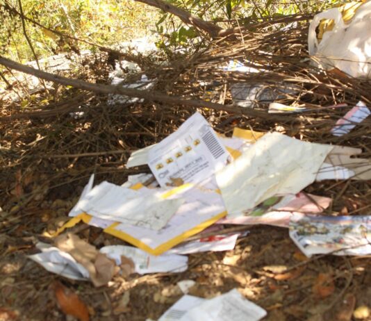 Discarded ballots returned to voting officials; more missing mail found strewn letters
