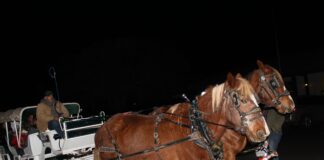 Carriage ride