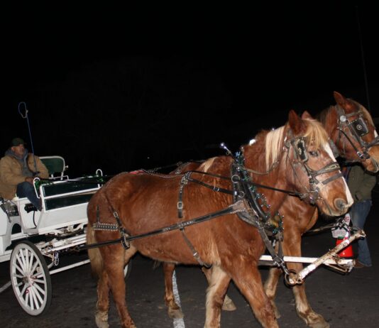 Carriage ride