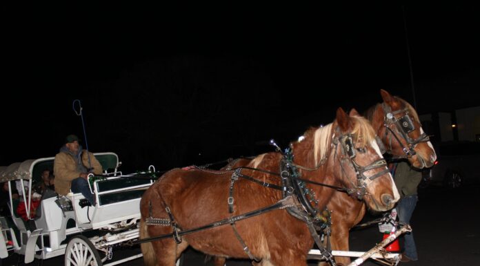 Carriage ride