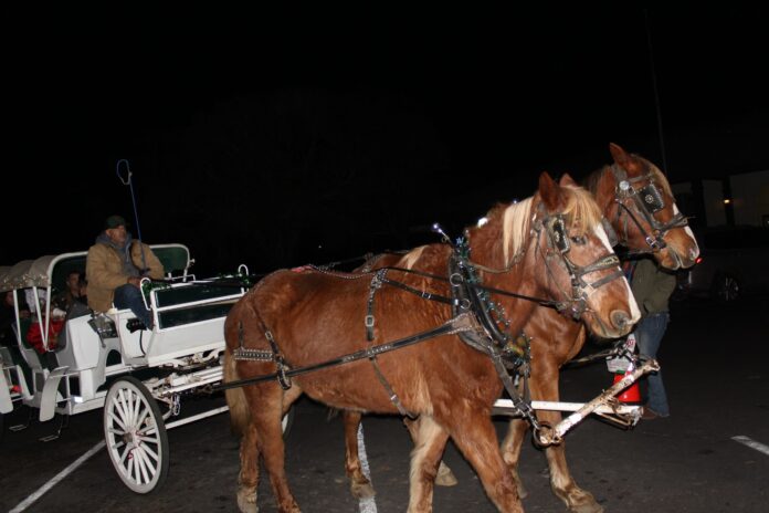 Carriage ride