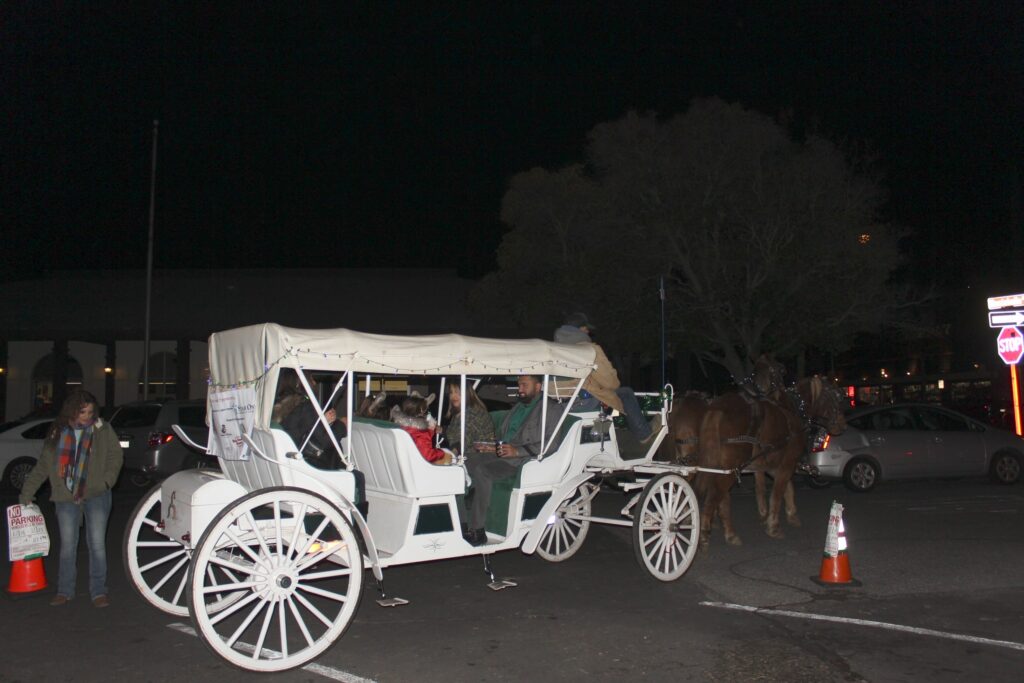 Carriage ride