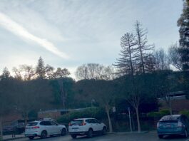 Los Gatos municipal building sunset