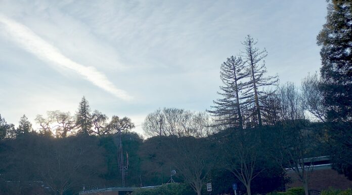 Los Gatos municipal building sunset