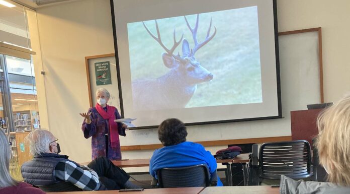 Joan Sparks presentation Jan 24 2023