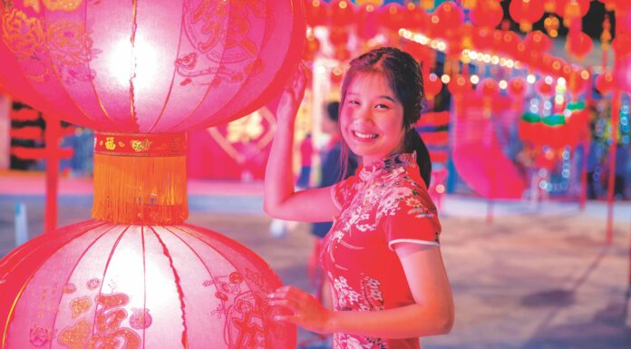 Smiling Asian woman with the red lantern for Chinese new year