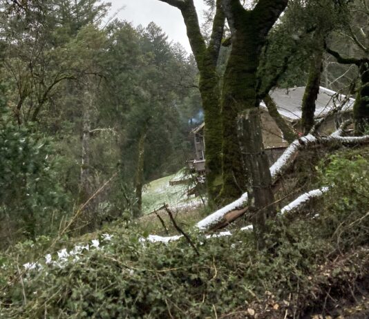 snow in Santa Cruz Mountains