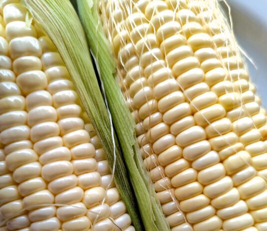 Time to turn your mind to your “warm season vegetable” plans corn