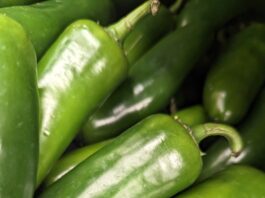 Crop rotation promotes garden efficiency crop rotation illustration