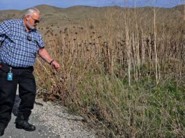 Moe Kumre weed abatement program santa clara county