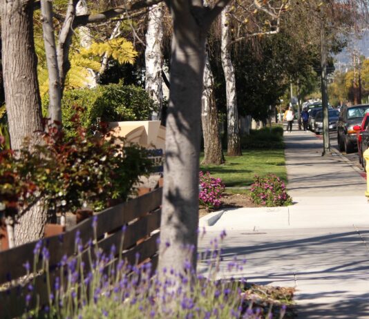 suburban neighborhood