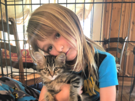 kitten and girl