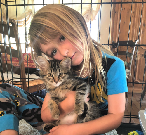 kitten and girl