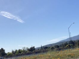 North 40 in the distance