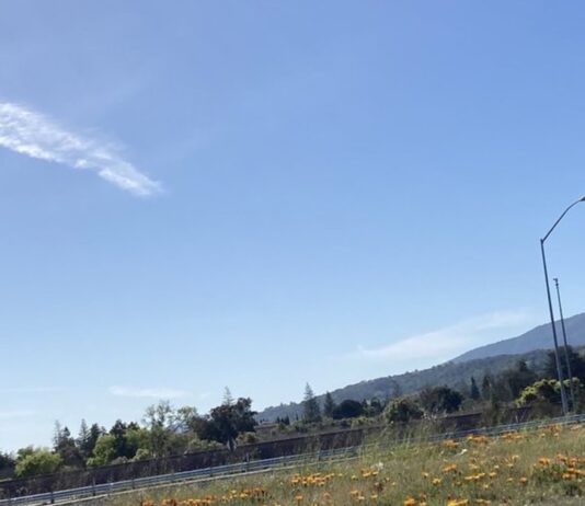 North 40 developer submits Phase II plans featuring 2-acre public park, 68 low-income apartments North 40 in the distance