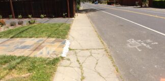 cracked sidewalk