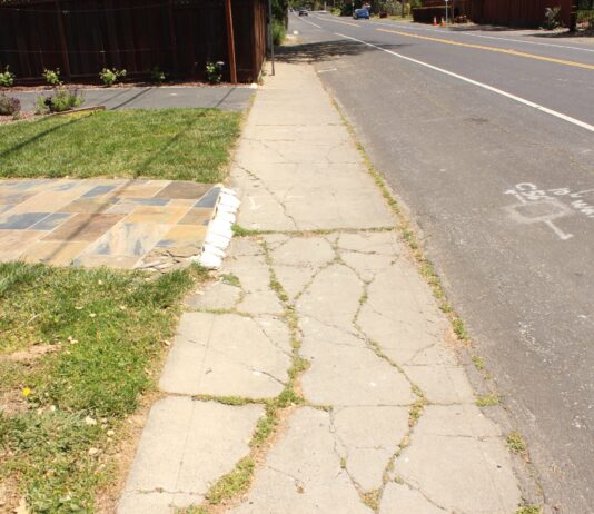 cracked sidewalk