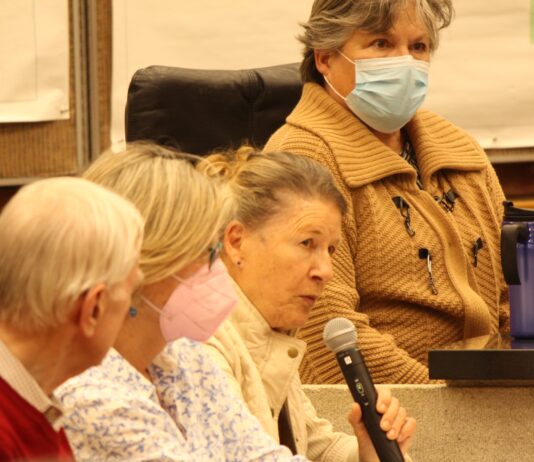 Council commits $25K toward helping homeless Jo Greiner, charity worker