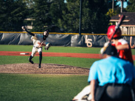 pitcher throws a ball