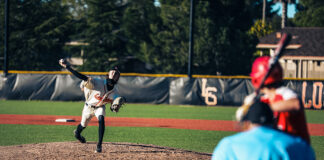 pitcher throws a ball