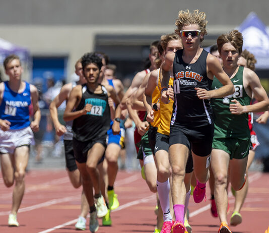 ‘Cats roundup: Lonergan takes 7th at State, track and field athletes headed to CCS Finals and baseball-softball teams start playoffs Saturday