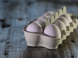 eggs