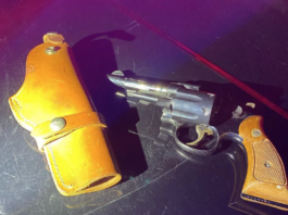 revolver and holster