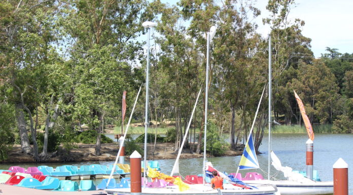 Vasona Lake boats