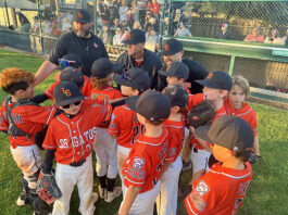 Los Gatos Little League 9U All Stars shine brightest, win District 12 championship
