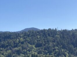 Santa Cruz Mountains