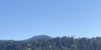 Santa Cruz Mountains