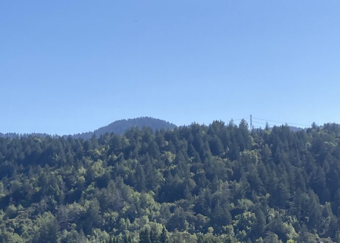 Santa Cruz Mountains