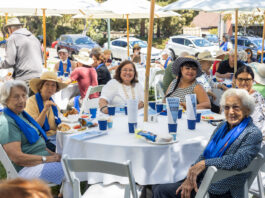 senior picnic