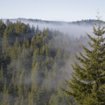 Image for display with article titled State Parks announces expansion of Castle Rock State Park