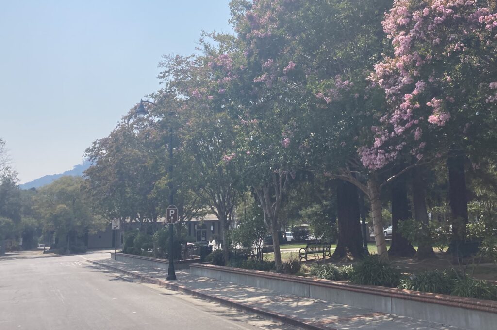 Post Office site on smokey day