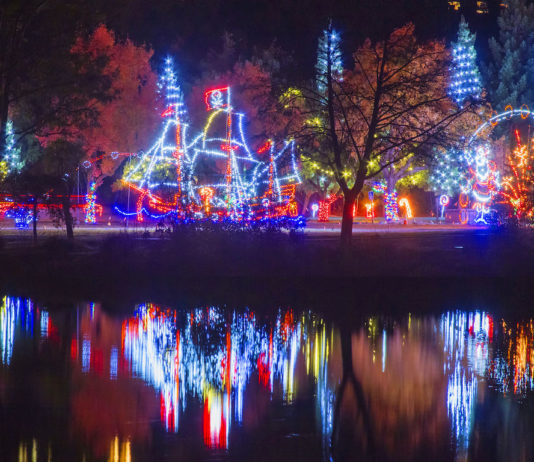 fantasy of lights