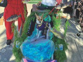 costumes in Los Gatos