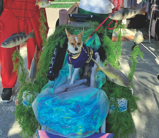 costumes in Los Gatos