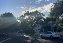 Los Gatos residential street