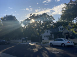 Los Gatos residential street