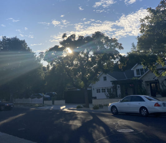 Los Gatos residential street