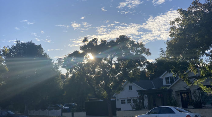 Los Gatos residential street