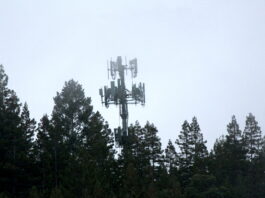 wireless tower in the forest