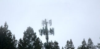 wireless tower in the forest