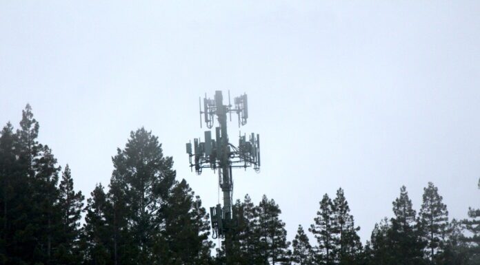 wireless tower in the forest