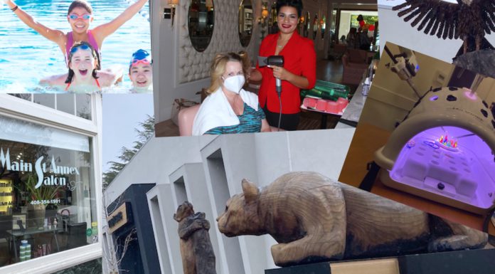 Best of Los Gatos compliation